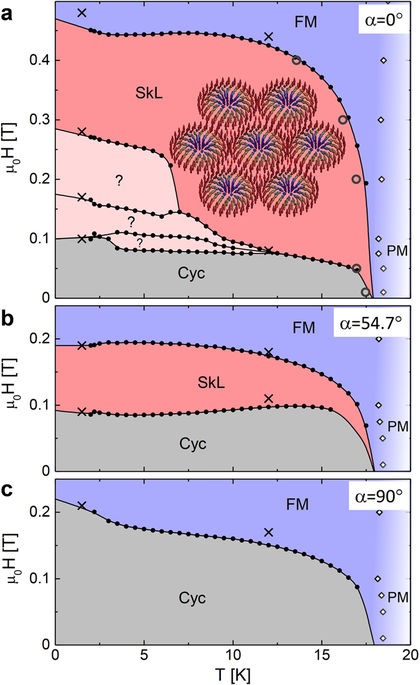 Equilibrium Skyrmion Lattice Ground State in a Polar Easy-plane Magnet ...