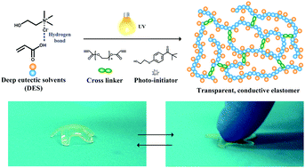 Patternable transparent and conductive elastomers towards flexible ...
