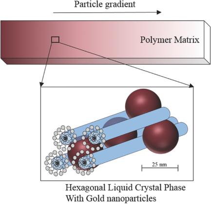 Gradient Nanostructure In Situ Gold Nanoparticle Gradient Formation in a 3D Meso‐ and ...