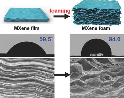 Hydrophobic, Flexible, and Lightweight MXene Foams for High‐Performance ...