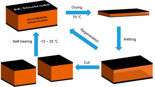 Rationally Designed Self-Healing Hydrogel Electrolyte Toward A Smart ...