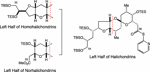 Stereocontrolled Synthesis of Left Halves of Halichondrins,The Journal ...