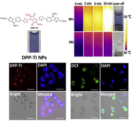 Highly Effective Thieno[2,3-b]indole-diketopyrrolopyrrole Near-infrared ...