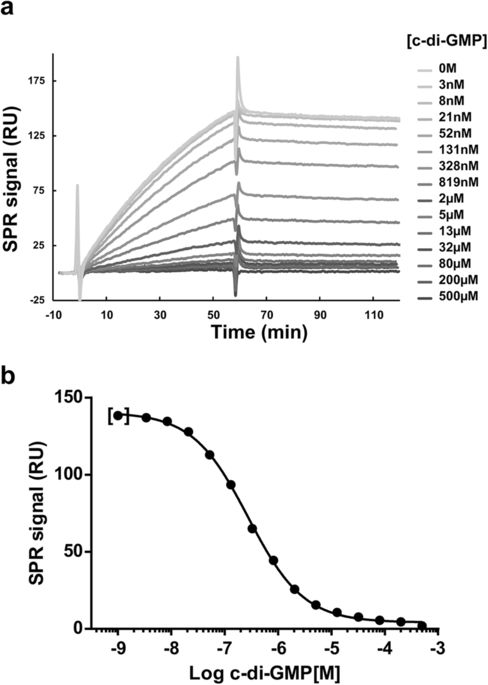 A Novel C Di Gmp Binding Domain In Glycosyltransferase Bgsa Is Responsible For The Synthesis Of A Mixed Linkage B Glucan Scientific Reports X Mol