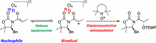 Experimental and Computational Evidence of the Biradical Structure and ...