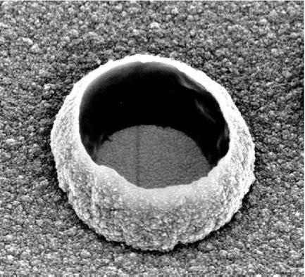 Conducting Polymer Microcups for Organic Bioelectronics and Drug ...