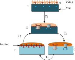 High-temperature corrosion mechanism of YSZ coatings subject to calcium