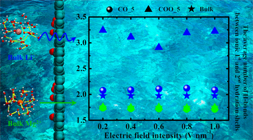 mg2-channel-inspired-nanopores-for-mg2-li-separation-the-effect-of