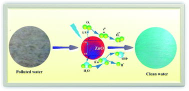 Photocatalytic and antibacterial biomimetic ZnO nanoparticles ...
