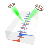 Magneto-Optical Detection of the Spin Hall Effect in Pt and W Thin ...