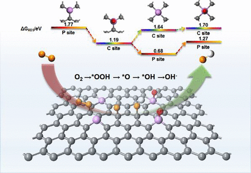 磷构型对掺磷石墨烯电子结构和氧还原反应的影响,The Journal of Physical Chemistry C - X-MOL