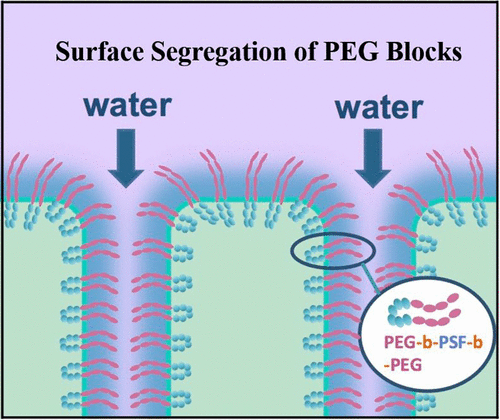 Tailoring Membrane Surface Properties And Ultrafiltration Performances ...