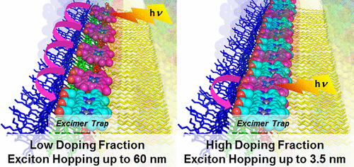 Tailorable Exciton Transport in Doped Peptide–Amphiphile Assemblies,ACS ...