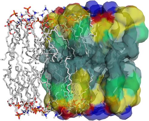 Polarizable force field development for lipids and their efficient ...