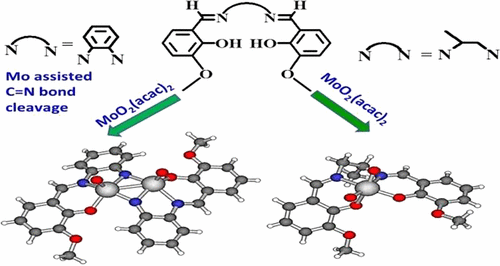 Monomeric And Dimeric Oxidomolybdenum V And Vi Complexes Cytotoxicity And Dna Interaction Studies Molybdenum Assisted C N Bond Cleavage Of Salophen Ligands Inorganic Chemistry X Mol