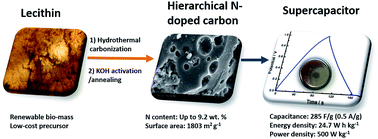 Hierarchical nitrogen-doped porous carbon derived from lecithin for ...
