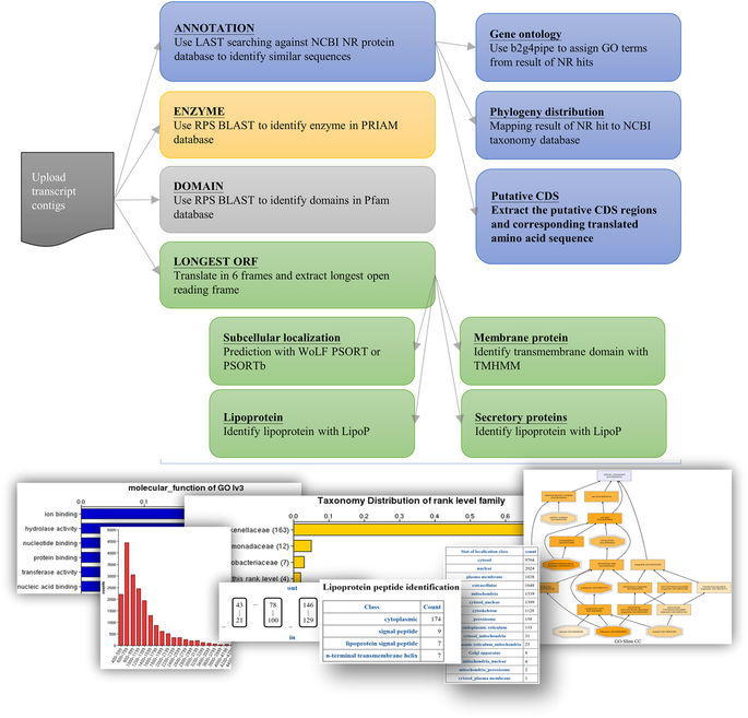FunctionAnnotator, a versatile and efficient web tool for non-model ...