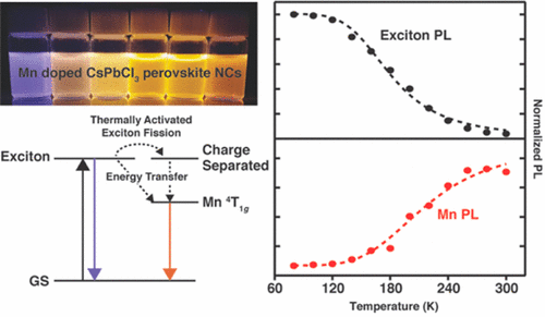 Photoluminescence Temperature Dependence, Dynamics, And Quantum ...