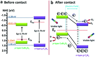 Fabrication of a CuBi2O4/g-C3N4 p–n heterojunction with enhanced ...