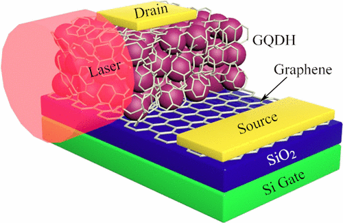 Ambipolar Graphene Quantum Dot Hybrid Vertical Photodetector With A Graphene Electrode Acs Appl Mater Interfaces X Mol