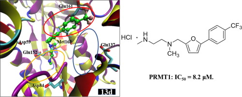 Prmtx Design and synthesis of novel PRMT1 inhibitors and investigation of ...