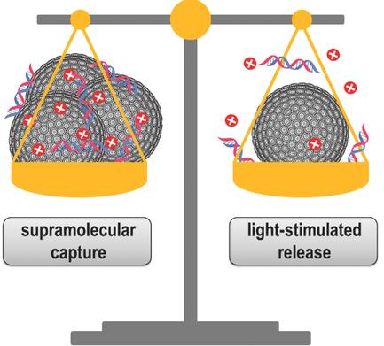 Controlling Complex Stability in Photoresponsive Macromolecular Host ...