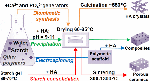 Progress in Hydroxyapatite–Starch Based Sustainable Biomaterials