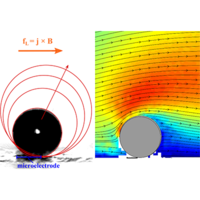 Growth and detachment of single hydrogen bubbles in a ...