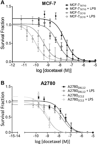 Inflammatory cytokine production in tumor cells upon chemotherapy