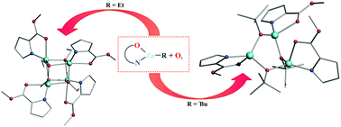 Oxygenation Of Rzn N O Type Complexes As An Efficient Route To Zinc Alkoxides Not Accessible Via The Classical Alcoholysis Path Chemical Communications X Mol