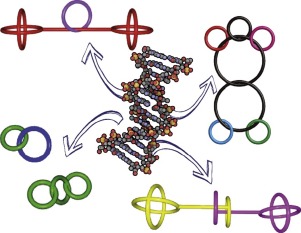 Interlocked DNA topologies for nanotechnology,Current Opinion in ...