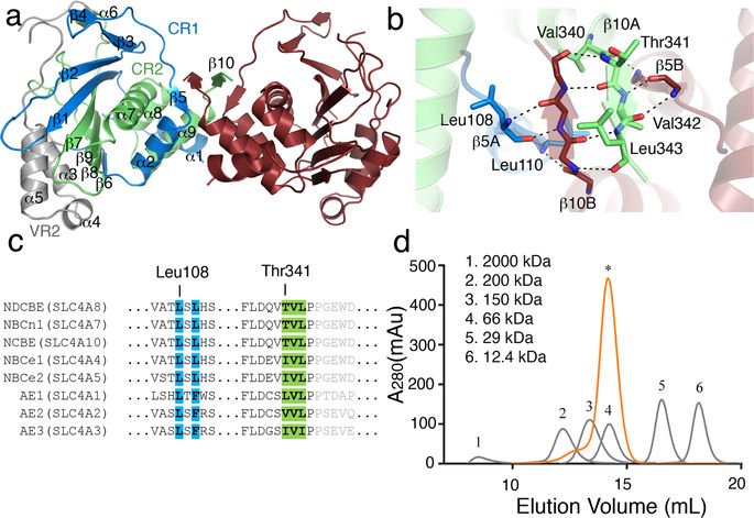 The Crystal Structure Of The Regulatory Domain Of The Human Sodium Driven Chloride Bicarbonate Exchanger Scientific Reports X Mol