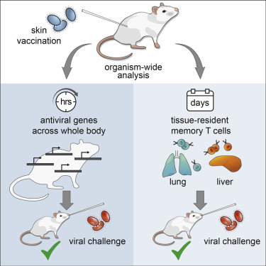 Organism-Level Analysis of Vaccination Reveals Networks of Protection ...