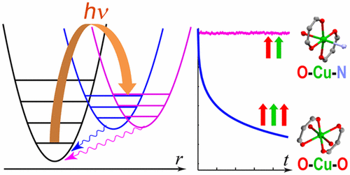 Light-Induced Spin State Switching and Relaxation in Spin Pairs of ...