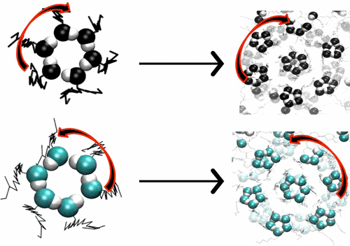Effects of Optical Purity and Finite System Size on Self-Assembly of 12 ...