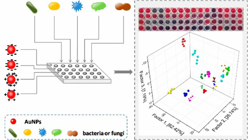 Colorimetric Sensor Array Based on Gold Nanoparticles with Diverse ...