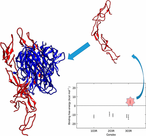 Unraveling Binding Interactions Between Human RANKL And Its Decoy ...