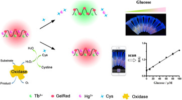 GelRed/[G3T]5/Tb3+ hybrid: A novel label-free ratiometric fluorescent ...