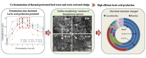 Production of lactic acid from thermal pretreated food waste through ...