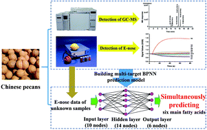 Qualitative And Quantitative Analysis Of Fatty Acid Profiles Of Chinese Pecans Carya Cathayensis During Storage Using An Electronic Nose Combined With Chemometric Methods Rsc Advances X Mol