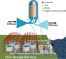Use of a filtering process to remove solid waste and antibiotic ...