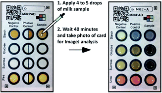 Paper test card for detection of adulterated milk,Analytical Methods ...
