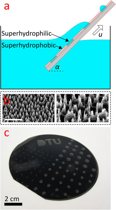 Generation of micro-droplet arrays by dip-coating of biphilic surfaces ...