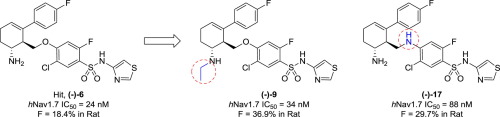 aminocyclohexene类似物作为选择性和口服生物可利用的发现 ħ Nav1.7抑制剂镇痛,Bioorganic ...