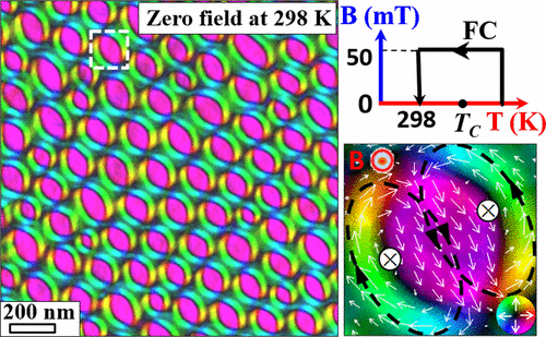 Real-Space Observation of Nonvolatile Zero-Field Biskyrmion Lattice ...