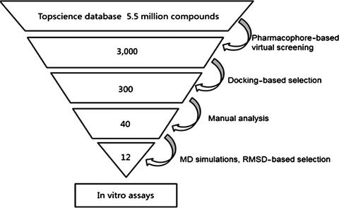 Pharmacophore-based Virtual Screening, Molecular Docking, Molecular ...