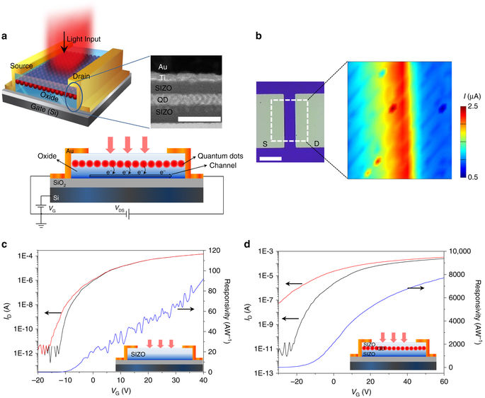 Color-selective photodetection from intermediate colloidal quantum dots ...