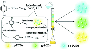 Facile synthesis of multicolor photoluminescent polymer carbon dots ...