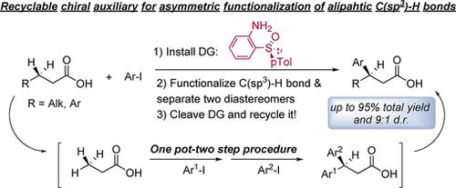 Stereoselective Sulfinyl Aniline Promoted Pd Catalyzed C H Arylation And Acetoxylation Of Aliphatic Amides Chemistry A European Journal X Mol