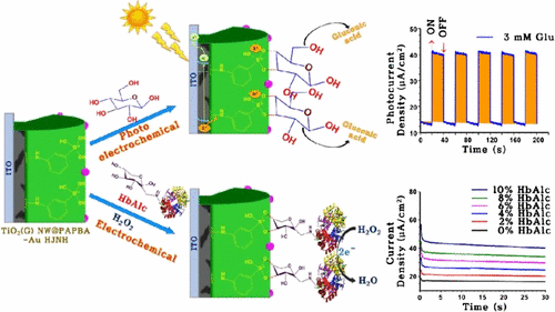 New Titanium Dioxide-Based Heterojunction Nanohybrid for Highly ...